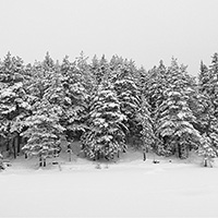 Mösern, Winter